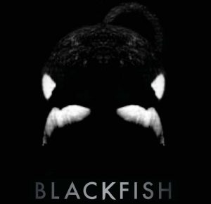 blackfish-poster