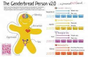 genderbread-2-1-1