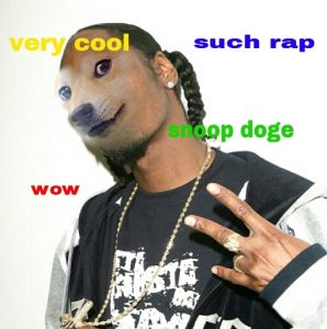 SnoopDoge