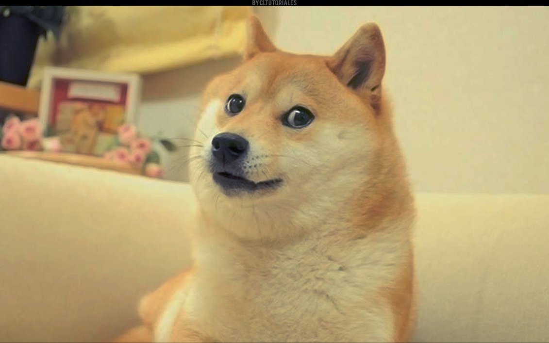 much-wow-doge-meme-the-state-times