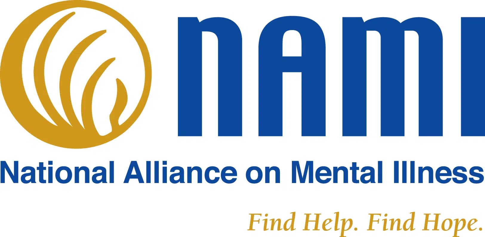 Nami Meeting On Anxiety The State Times